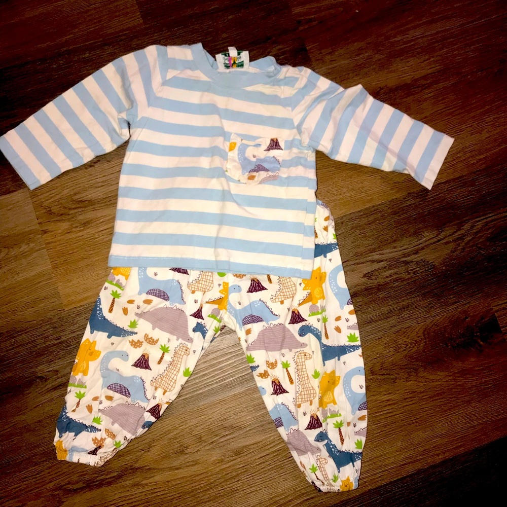 Boutique Dinosaur set 2T